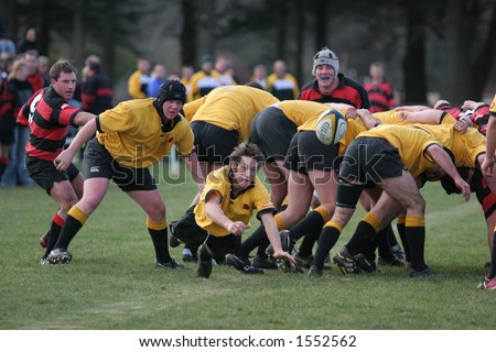 New Zealand club Rugby Action.  Kirwee vs Darfield, the Kirwee Halfback feeding the ball off a scrum.