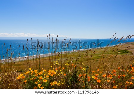 Ocean landscape with yellow flowers, San Juan islands in Washington state
