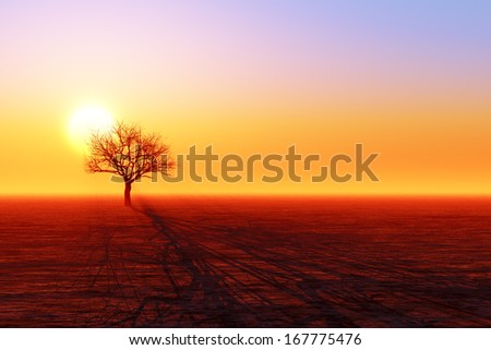 dry tree silhouette in desert below sunset