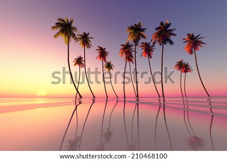 coconut palms at pink tropical sunset over calm sea