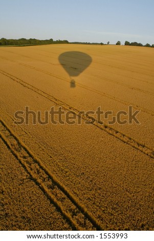 hot air balloon shadow on field at sunset