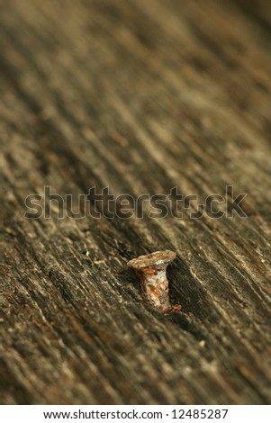 Rusty nail head
