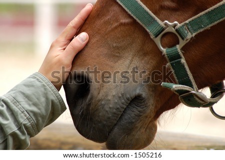 stock photo : friendship