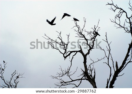 birds flying off  dead tree branches