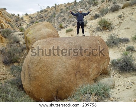 tree man pictures. in Joshua Tree. Man on top