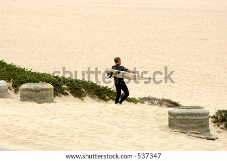 Male surfer carrying surf board