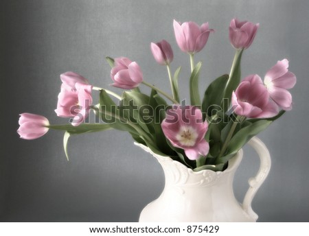 Morning Tulips: A pitcher of mauve tulips sit in the morning light. Great depiction of spring, Mother\'s Day, etc.