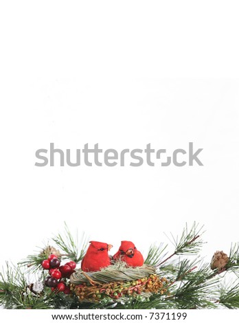 Vertical Winter Cardinals in Evergreen Stationary: An ornament of a cardinal pair nestled among evergreen branches against a white background. Space for copy. Holiday/winter concept.
