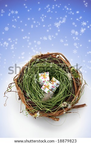 Nature\'s Holiday Presents: Conceptual image showing three presents in a bird\'s nest against a snowy background.  Space for copy.