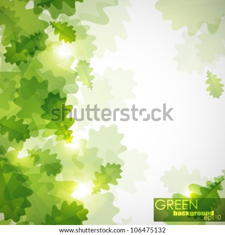 abstract shiny background with green oak leaves