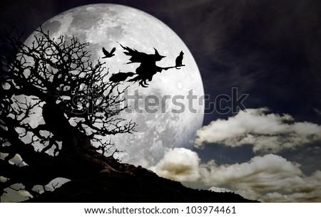 Silhouette of a witch with her cat and crow flying on a broomstick across a full moon at twilight for Halloween.