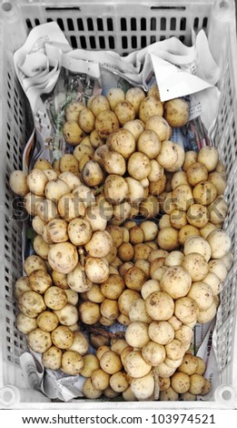 A basket of langsat on display for sale in a wet market in rural Malaysia. The fruit is also known as Lansium Domesticum or lanzones.