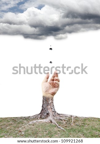 A hand growing out of a gnarly old tree trunk to catch raindrop from the raincloud, isolated against white.