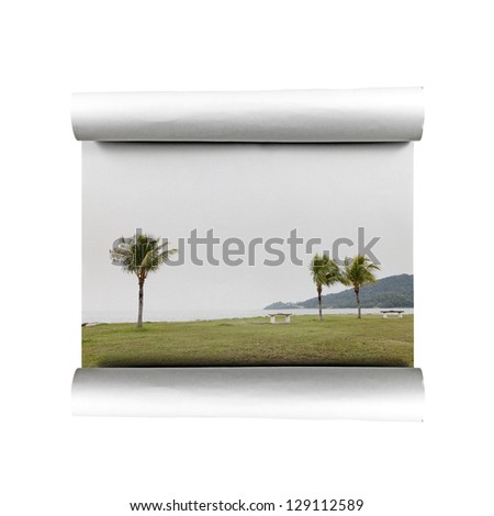 A paper scroll with scenery of a rural coastal garden with palm trees, isolated against white.