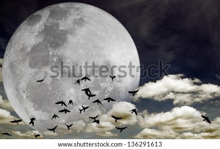 Flock of silhouette birds migrating across a large full moon on a dreamy night sky. Elements of this image furnished by NASA.