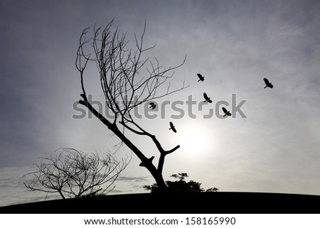 Silhouette of a gnarly dead tree on a hilltop with flock of birds flying against a surreal blue sunset.