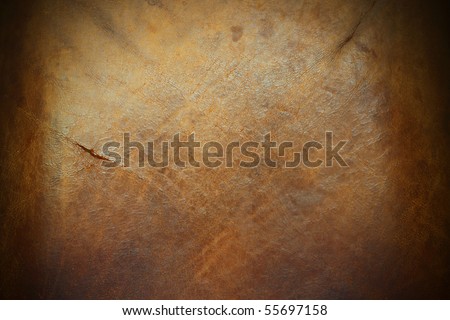 An image of the surface of a piece of old tanned leather hide.