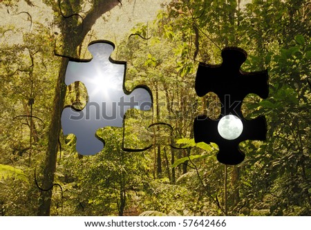 A composite image of jigsaw puzzle in a tropical rainforest with missing pieces showing the sun and the moon.