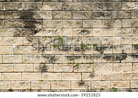 An ancient rustic cinder block wall.