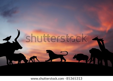 Silhouette of a roaring Lion on the horizon presiding over a kingdom of animals, against a dreamy candy colored surreal sunset.