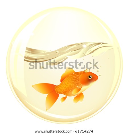 Glasses Ball With GoldFish In Water Inside, Isolated On white