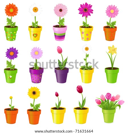 Spring Flowers In Pots, Isolated On White Background, Vector Illustration