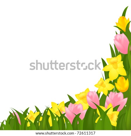 Spring Flowers, Isolated On White Background