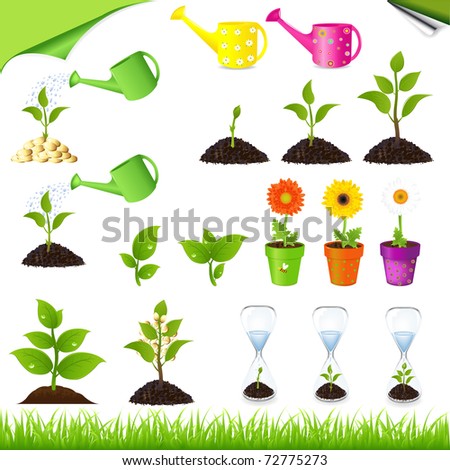 Sprouts, Watering ?ans, Sand-glass And Flowers In Pots