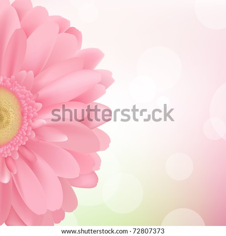 Gerbera Illustration