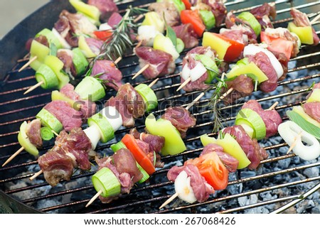 Summer barbecue. Meat BBQ with herbs and vegetables. Outdoor grill food