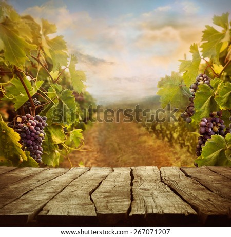 Vineyard tabletop design. Wine background. Autumn design with vineyard and empty display.  Autumn grapes harvest