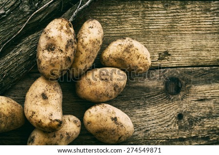 Fresh organic potatoes. Healthy food. Fresh vegetables