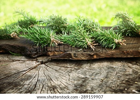 Herb Rosemary. Bunches of fresh herbs on wood. Food ingredients