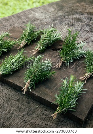 Herb Rosemary. Bunches of fresh herbs on wood. Food ingredients