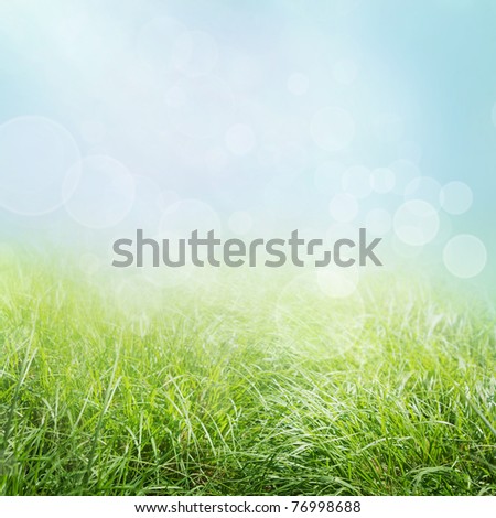 Spring or summer abstract season  nature background with grass and bokeh lights.