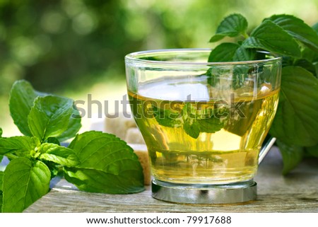 Mint tea with fresh mint leaves and sugar cubes