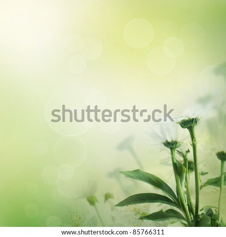 Fresh wildflowers spring or summer design. Floral nature daisy abstract background in green and yellow