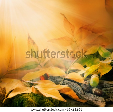 Forest background. Autumn border design with oak acorns and sunlight
