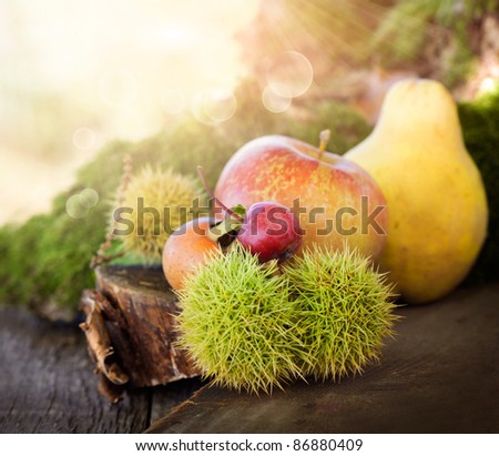 Autumn series. Nature background made of autumn fruit in the forest and beautiful sunlight in the back. Chestnut, vine leaf, wild apple, quince and apples.