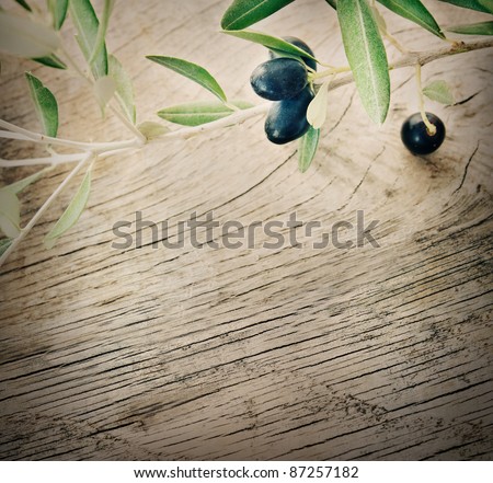 Summer olives nature background with fresh olive branch and wooden background