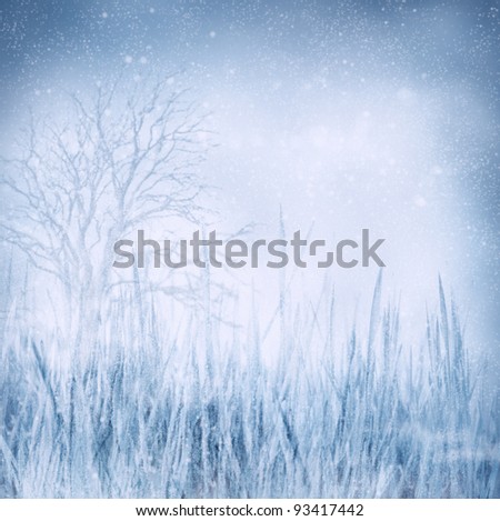Winter background landscape with frozen grass and tree. Holiday Chritmas background with snow in the night