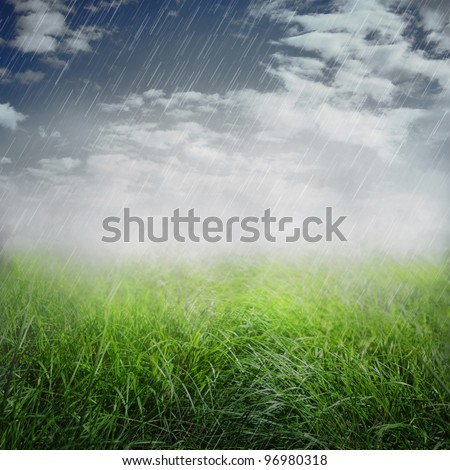 Spring or summer abstract nature background with grass in the meadow and rain in the back
