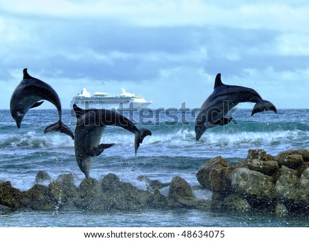 Three Dolphins jumping over the ocean.