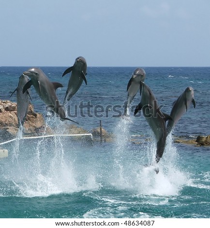 Happy Dolphins jumping over the ocean.