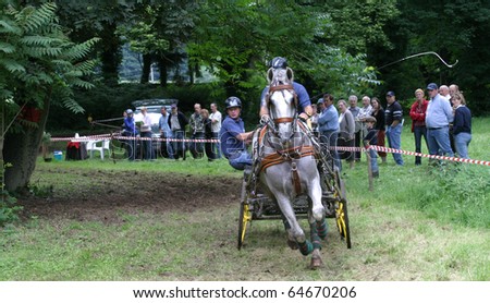 LINDEN - JULY 13: A horse and horsemen at summer horse games on July 13, 2008 in Linden, Belgium