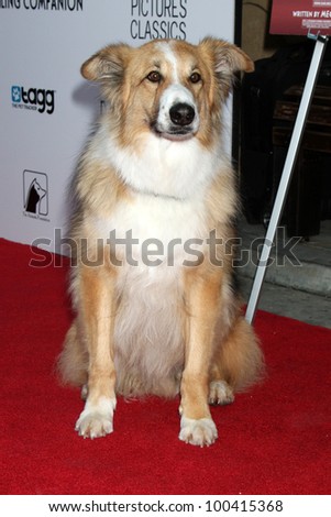 LOS ANGELES - APR 17:  Kasey (Played dog Freeway in movie) arrives at the \