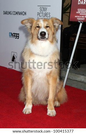 LOS ANGELES - APR 17:  Kasey (Played dog Freeway in movie) arrives at the \