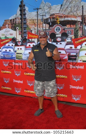 ANAHEIM - JUN 13:  Larry the Cable Guy, aka Dan Whitney arrives at the 