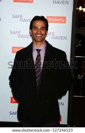 LOS ANGELES - FEB 5:  Johnathon Schaech arrives at the 'Safe Haven' Premiere at the TCL Chinese Theater on February 5, 2013 in Los Angeles, CA