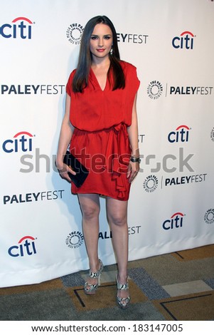 LOS ANGELES - MAR 22:  Rachael Leigh Cook at the PaleyFEST 2014 - \